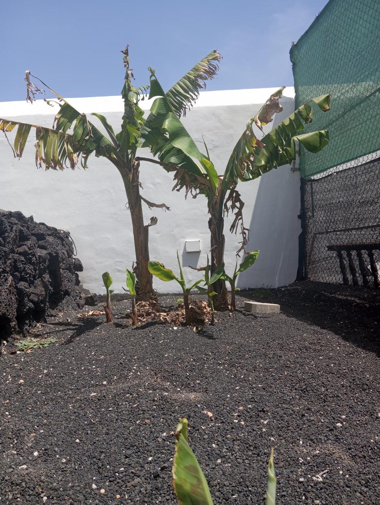 Casa Siempreviva Villa Teguise  Dış mekan fotoğraf
